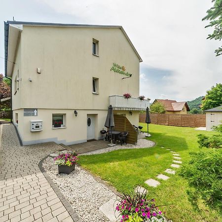 Willa Aleksandra - Apartamenty Miedzybrodzie Zywieckie Exterior photo